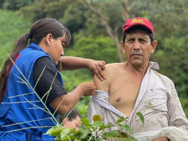 Foráneos sin vacuna serían los responsables del rebrote de fiebre amarilla en Chaparral, Tolima