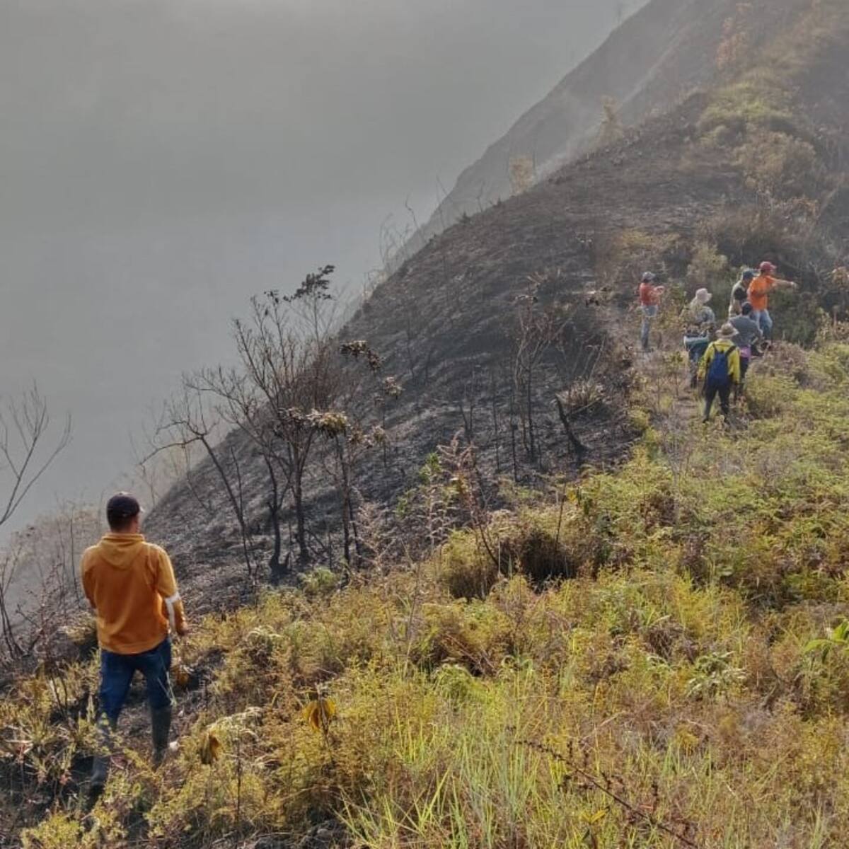 Controlan incendio entre Guacamayo y Contratación