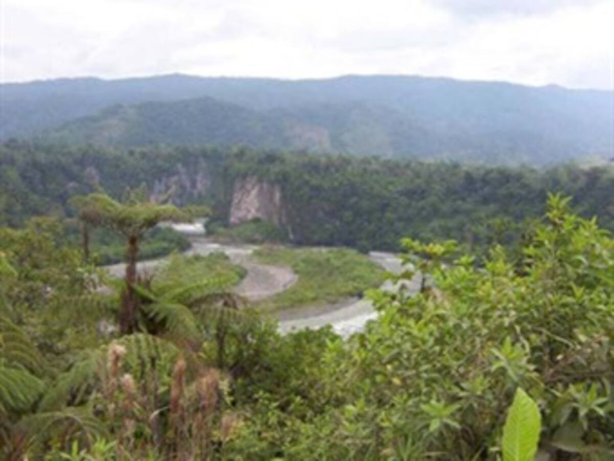 Ecuador quiere convertir al Yasuní-ITT en un proyecto 'de película'