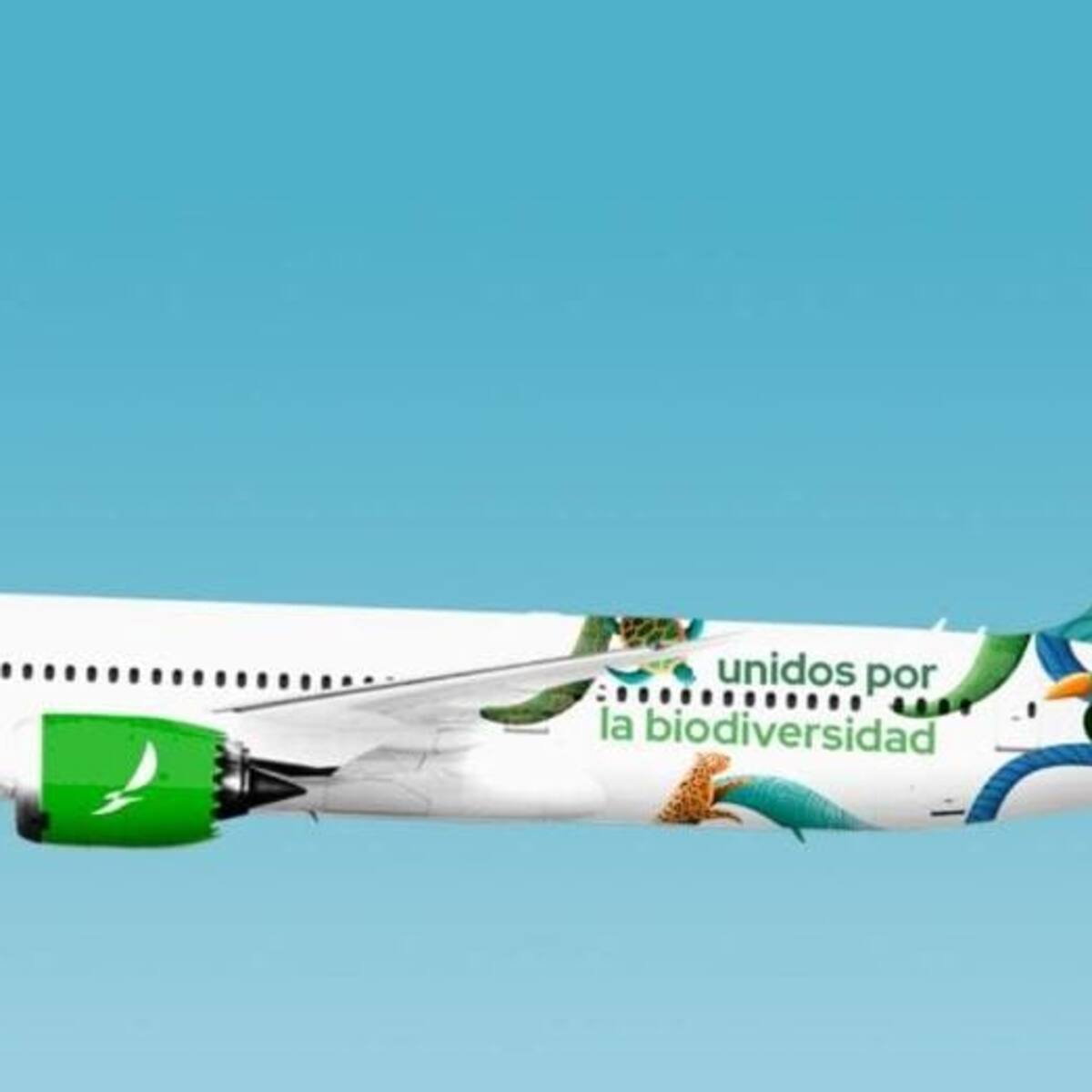 Avianca anuncia nuevas rutas nacionales e internacionales para la COP16 en Cali