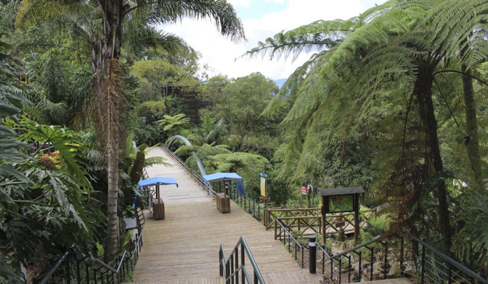 Disfrute un encuentro con la naturaleza y actividades extremas en el Parque Ecoturístico El Salado, en Envigado, con capacidad para 3.500 personas.