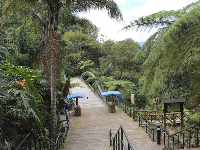 Disfrute un encuentro con la naturaleza y actividades extremas en el Parque Ecoturístico El Salado, en Envigado, con capacidad para 3.500 personas.
