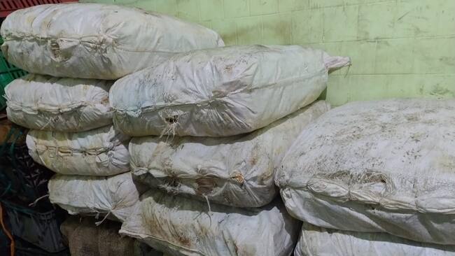 Foto: secretaría de salud neiva.