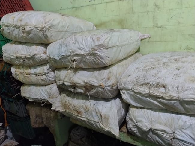 En tulas fue encontrado pescado, depositado en medio de cucarachas y ratones