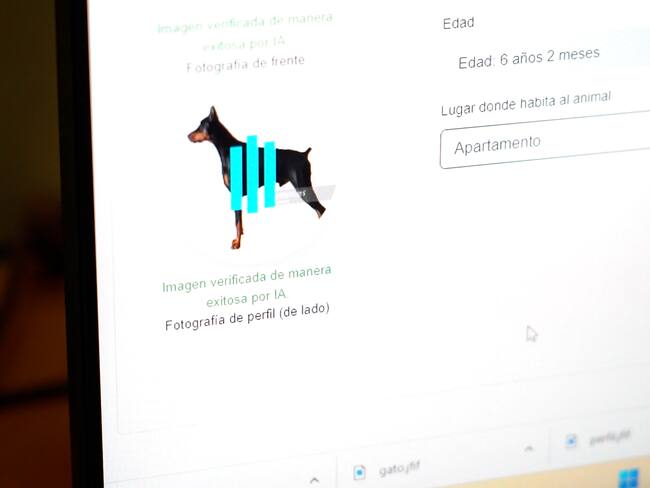 Inició el censo de animales de compañía y de cuidado especial en Medellín