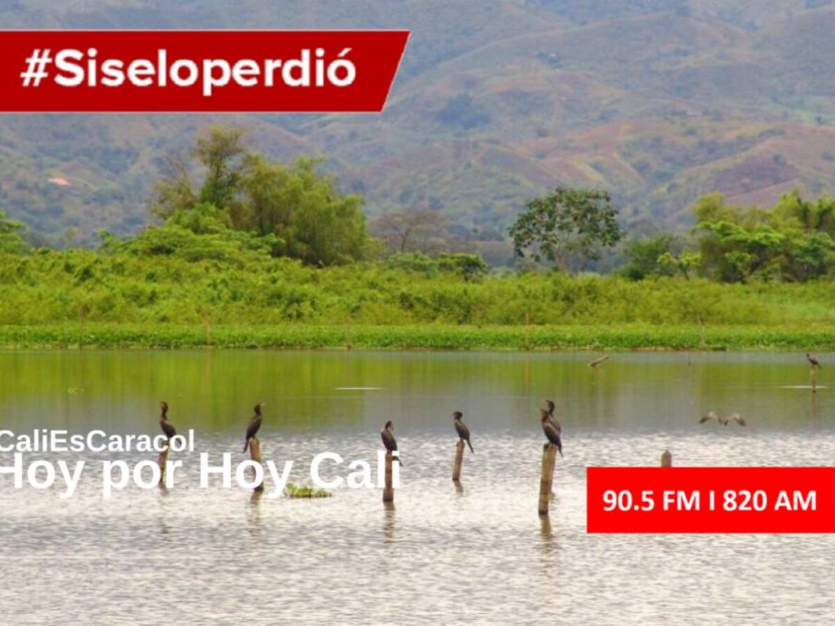 Cali Hoy por Hoy 04 de febrero del 2020