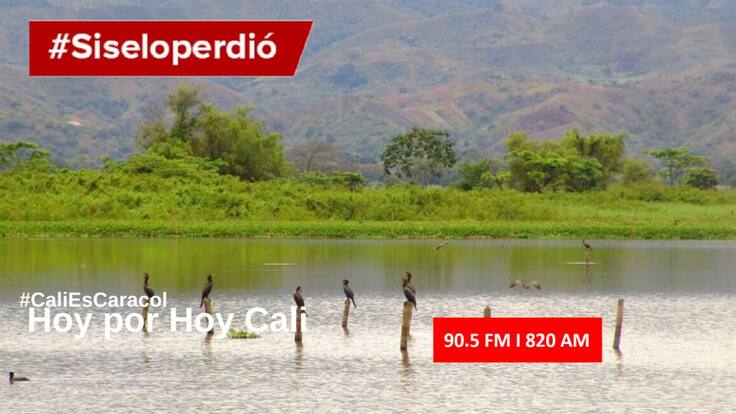 Podcast: Cali Hoy por Hoy 5 de agosto del 2019