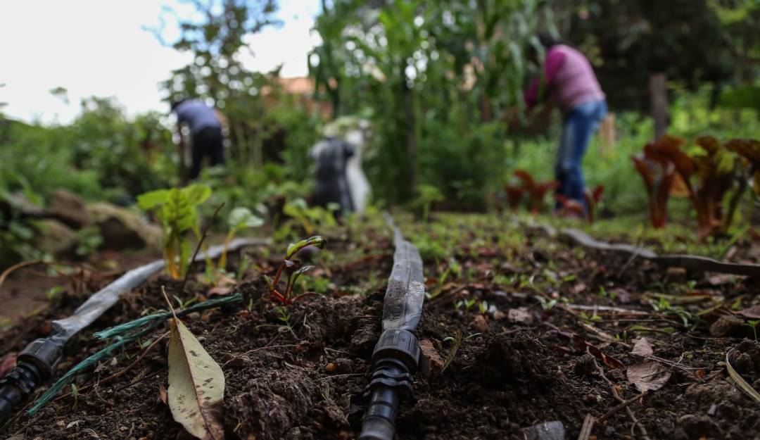 Ecosistemas colombianos. Foto: Colprensa. 
