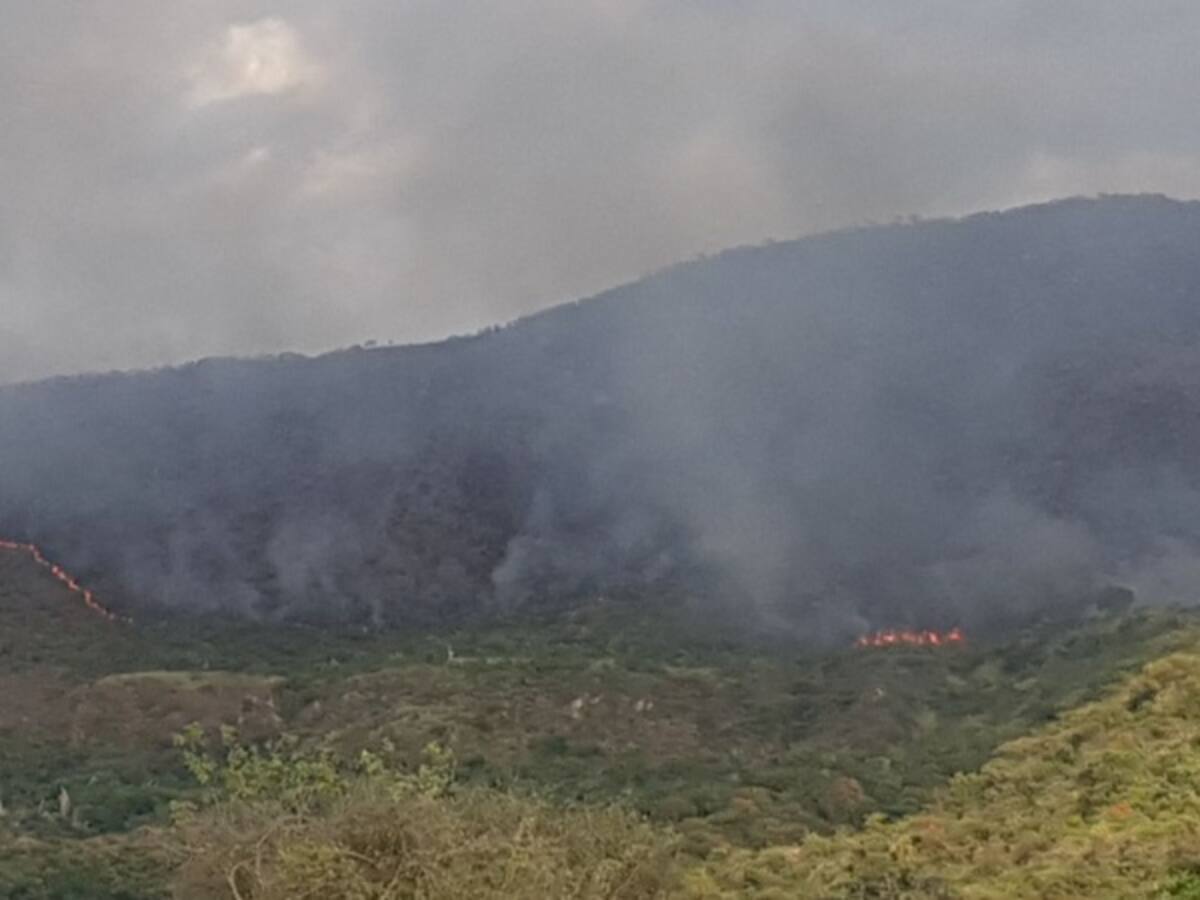 Incontrolable incendio forestal continúa afectando municipios del Tolima