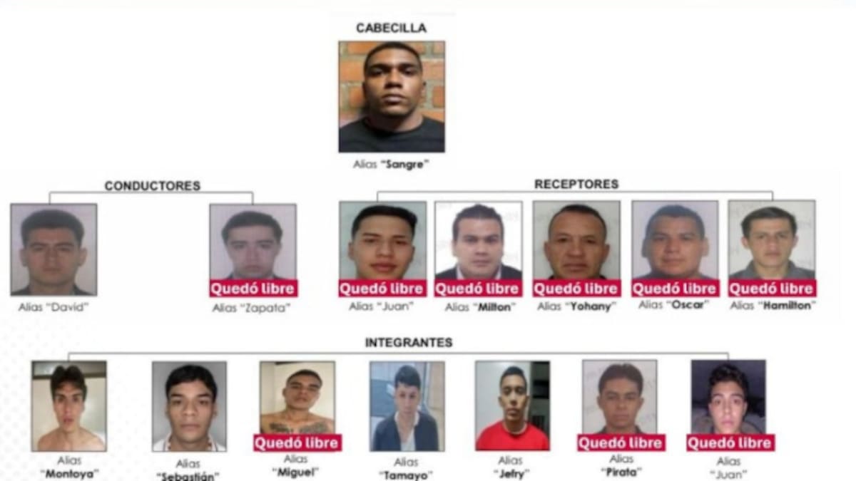 Juez deja libre a otro integrante de ‘Los Rolex’; 10 de los 13 capturados quedaron en libertad