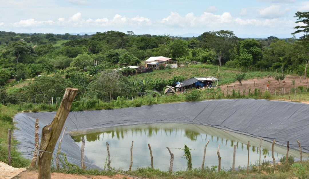 Proyectos productivos
