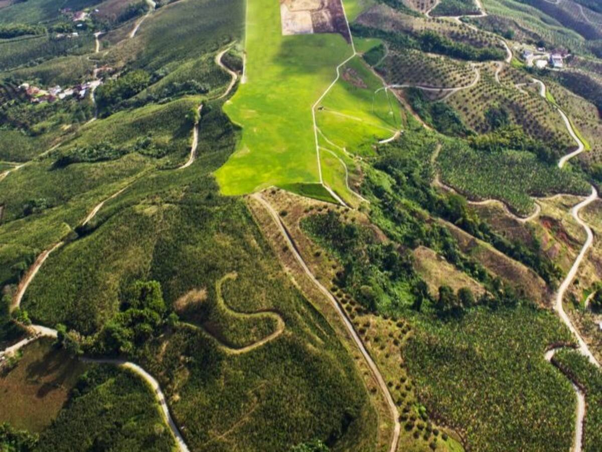 Se presentan retrasos en el cronograma de adjudicación de la interventoría del Aeropuerto del Café