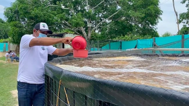 Piscicultura en San Juan Nepomuceno, Bolívar