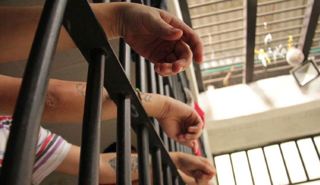 Imagen de referencia