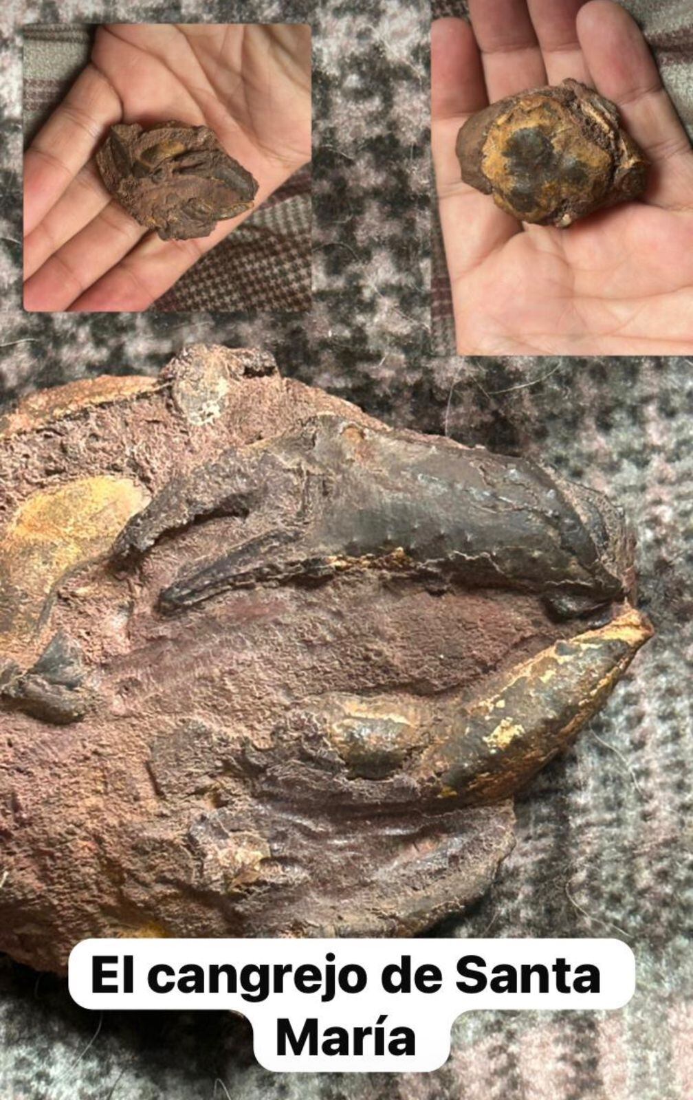 Más de 200 fósiles y huellas prehistóricas impulsan la investigación científica y el turismo sostenible en el Valle de Tenza.