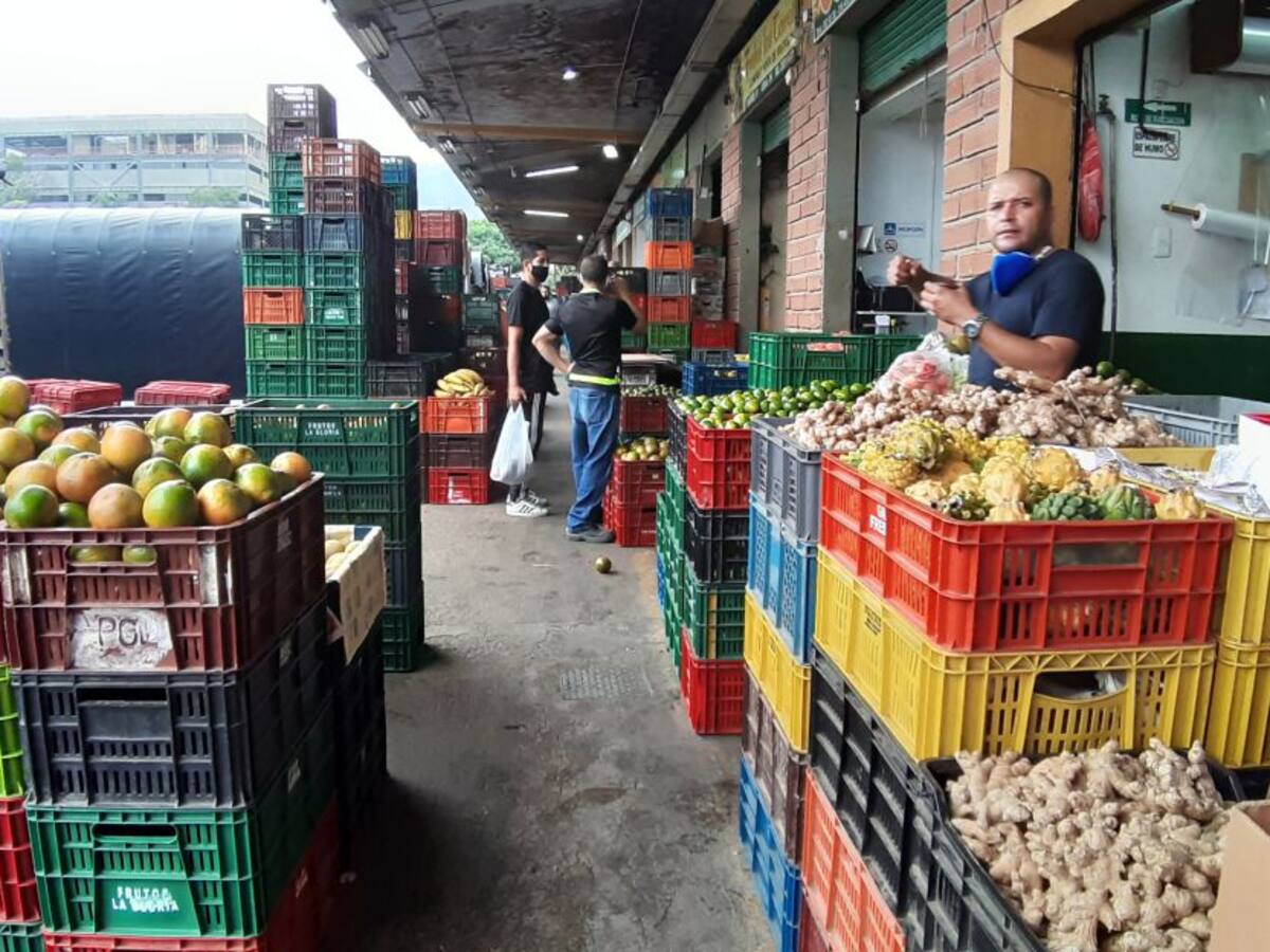 Con la llegada de alimentos a Antioquia, los precios podrían bajar