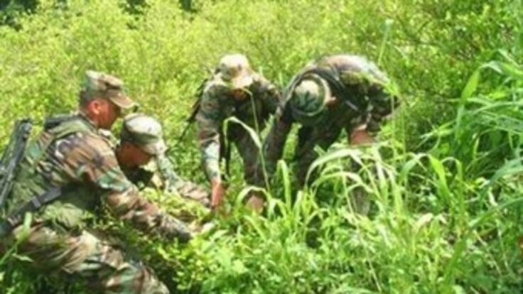 Santos felicita a las Fuerzas Militares por operativo donde murieron guerrilleros de las Farc