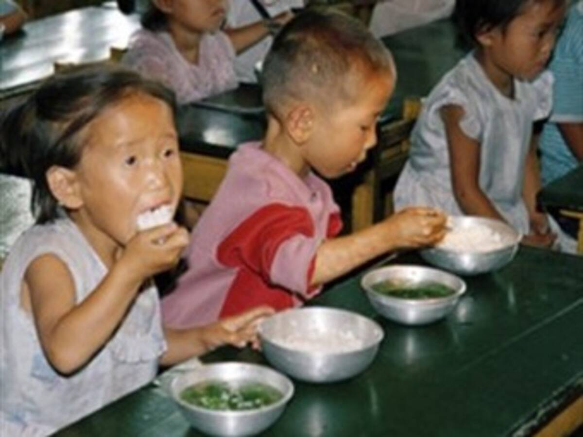 ONU: Corea del Norte viola sistemáticamente derechos humanos de la población