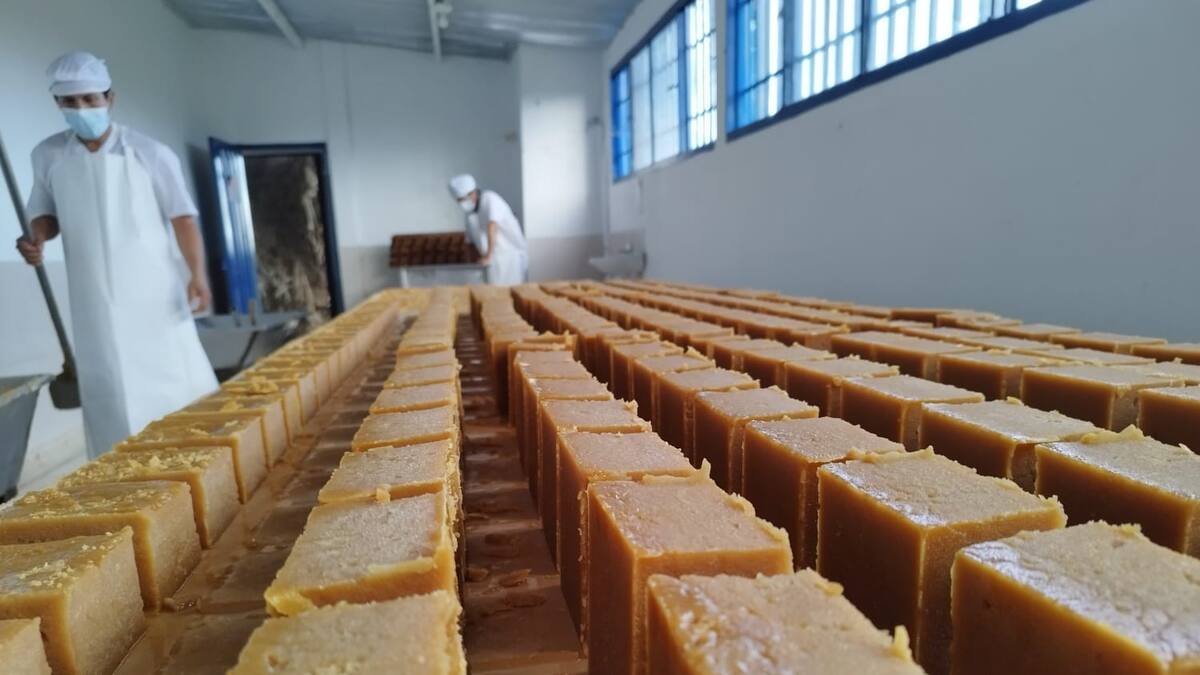 El amargo sabor de las extorsiones a paneleros en el Huila