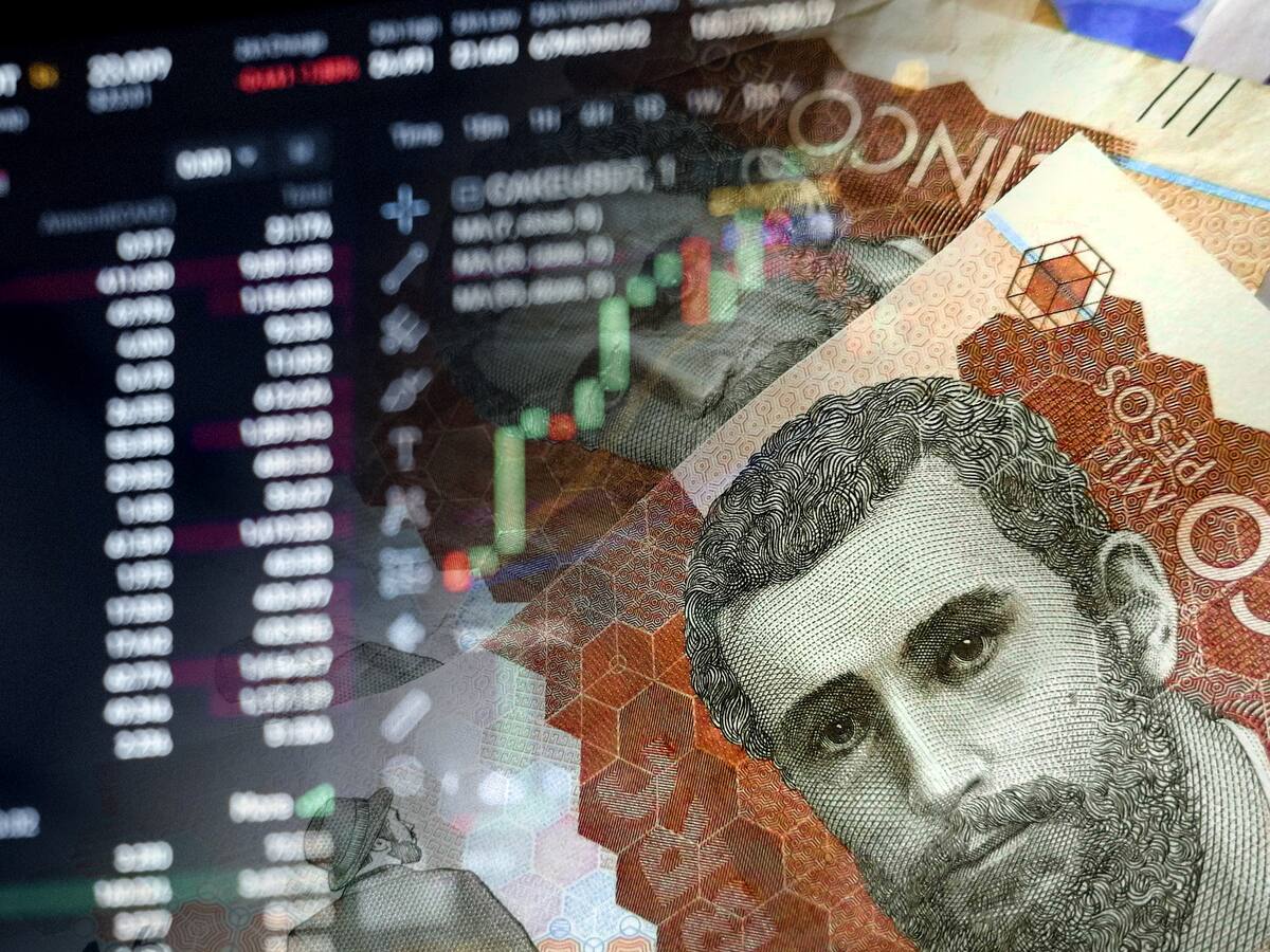 Cómo se proyectan las tasas de interés y la inflación para el 2025: cifras ANIF vs BanRep