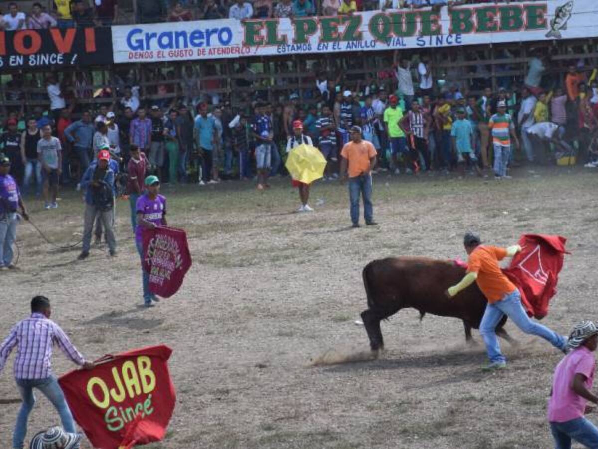 Dieciocho heridos dejan corralejas de Sincé,Sucre