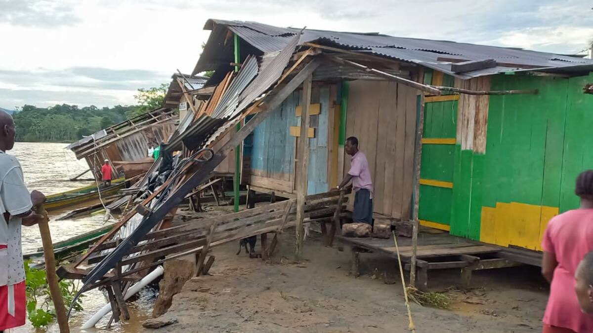 Cerca de 10 casas colapsaron por la socavación del río Atrato en Vigía del Fuerte
