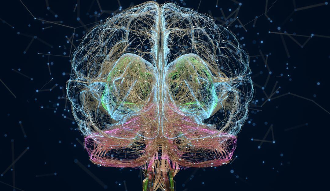 Cerebro