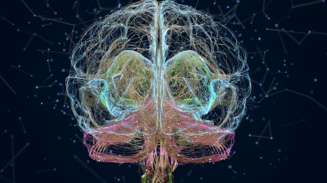 Cerebro