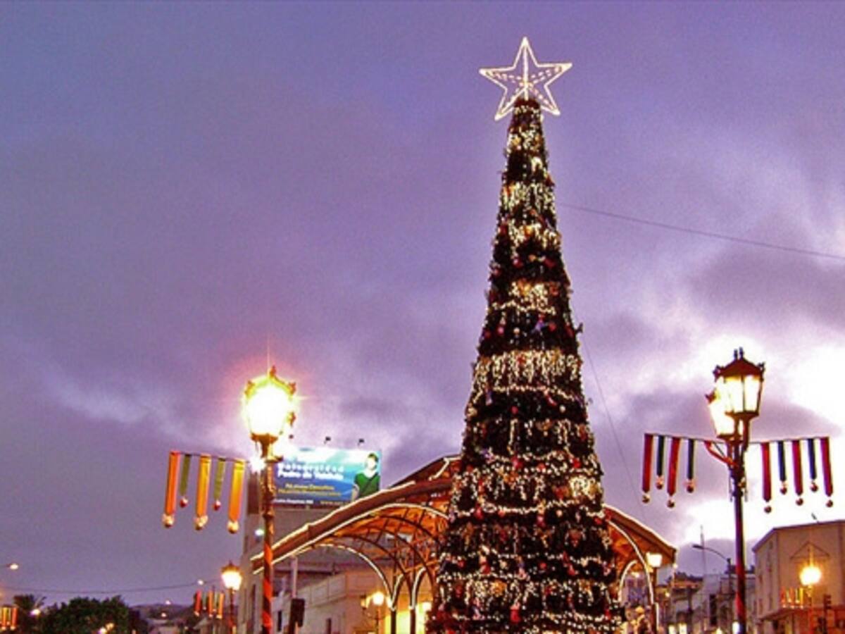 ¿Cuál es la importancia de la Navidad?
