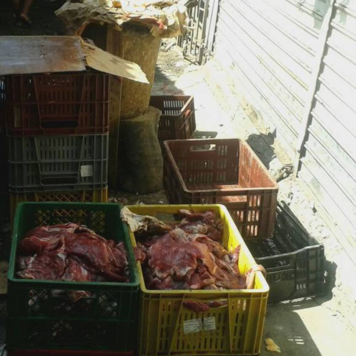 Decomisaron más de 50 kilos de carne no apta para el consumo humano en Sogamoso