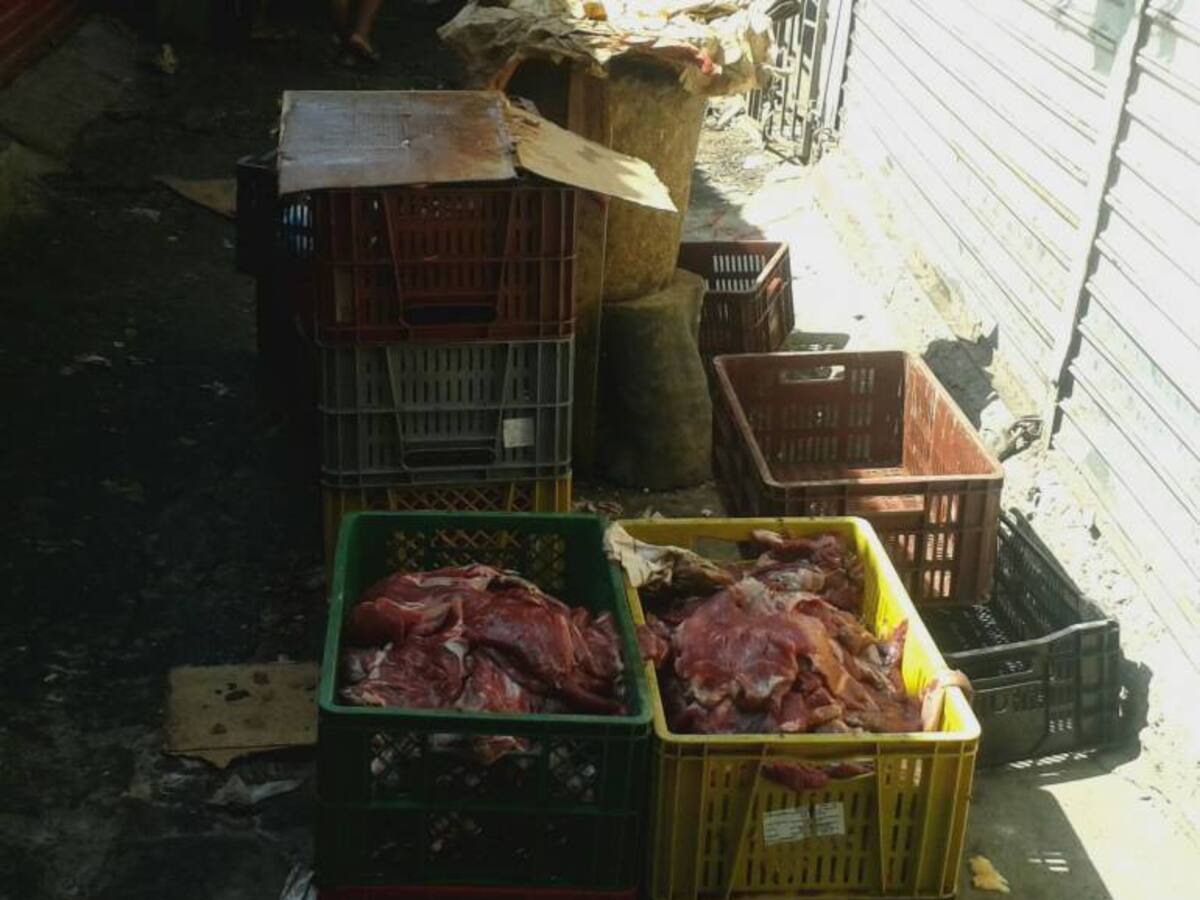 Decomisaron más de 50 kilos de carne no apta para el consumo humano en Sogamoso