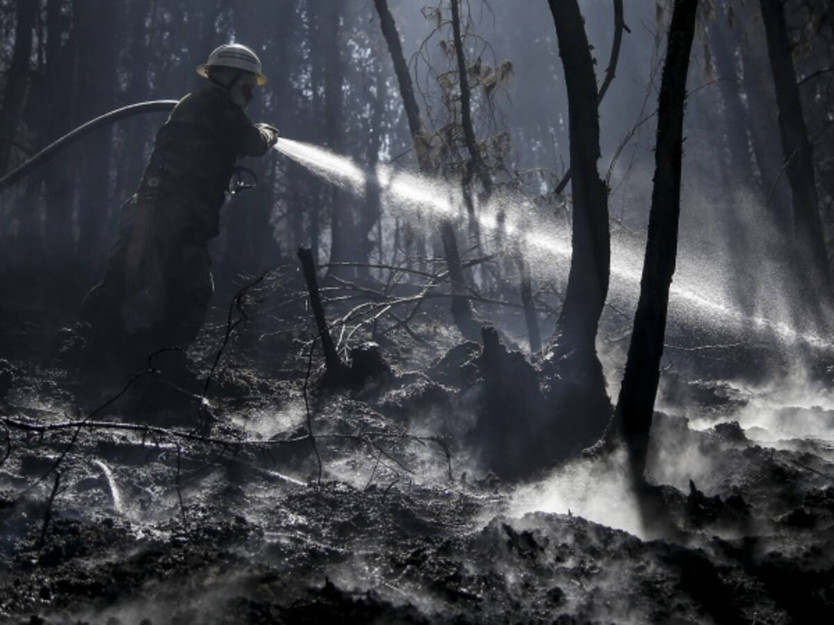 En un 100% controlado el incendio en los Cerros Orientales