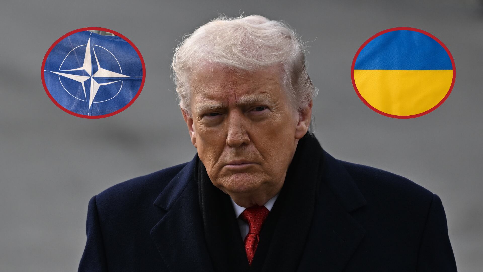 Donald Trump. Foto: Celal GunesUcrania. OTAN. Fotos: Getty Images.