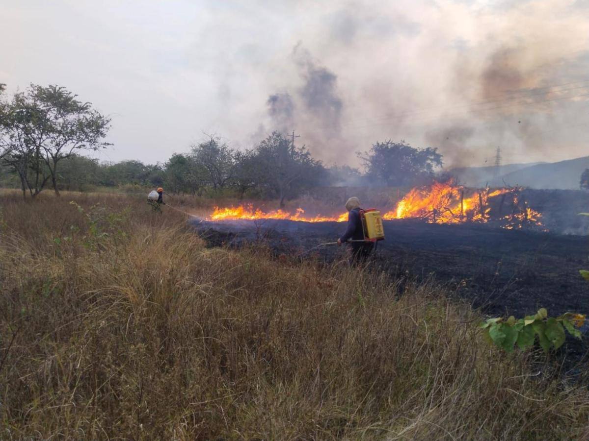 Incendios forestales en Aipe dejan miles de hectáreas devastadas