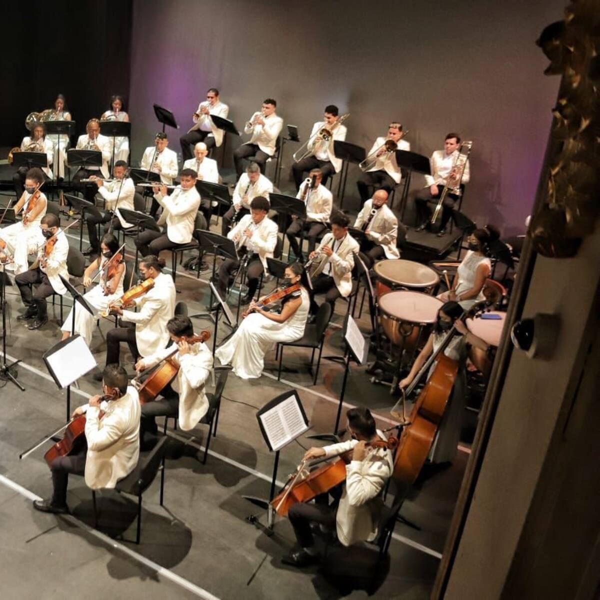 La Camerata Heroica: tocando vidas a través de la música