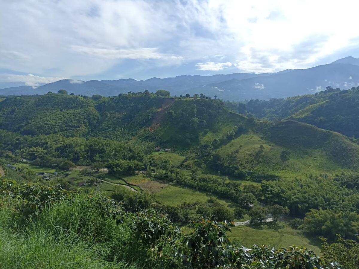 Martes 7 de febrero, las noticias más importantes de Armenia y Quindío