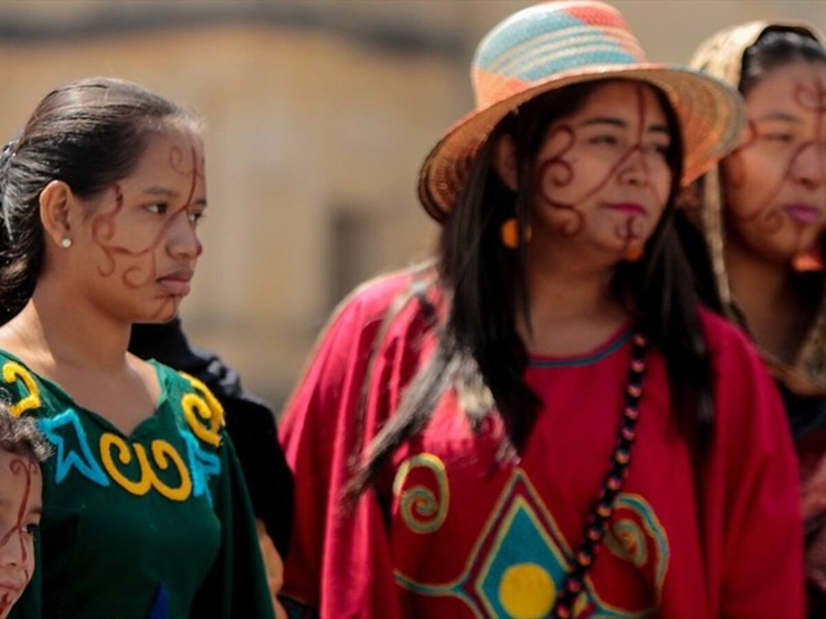 Así podrá hacer parte del grupo de expertos para hacer seguimiento a la niñez Wayuú