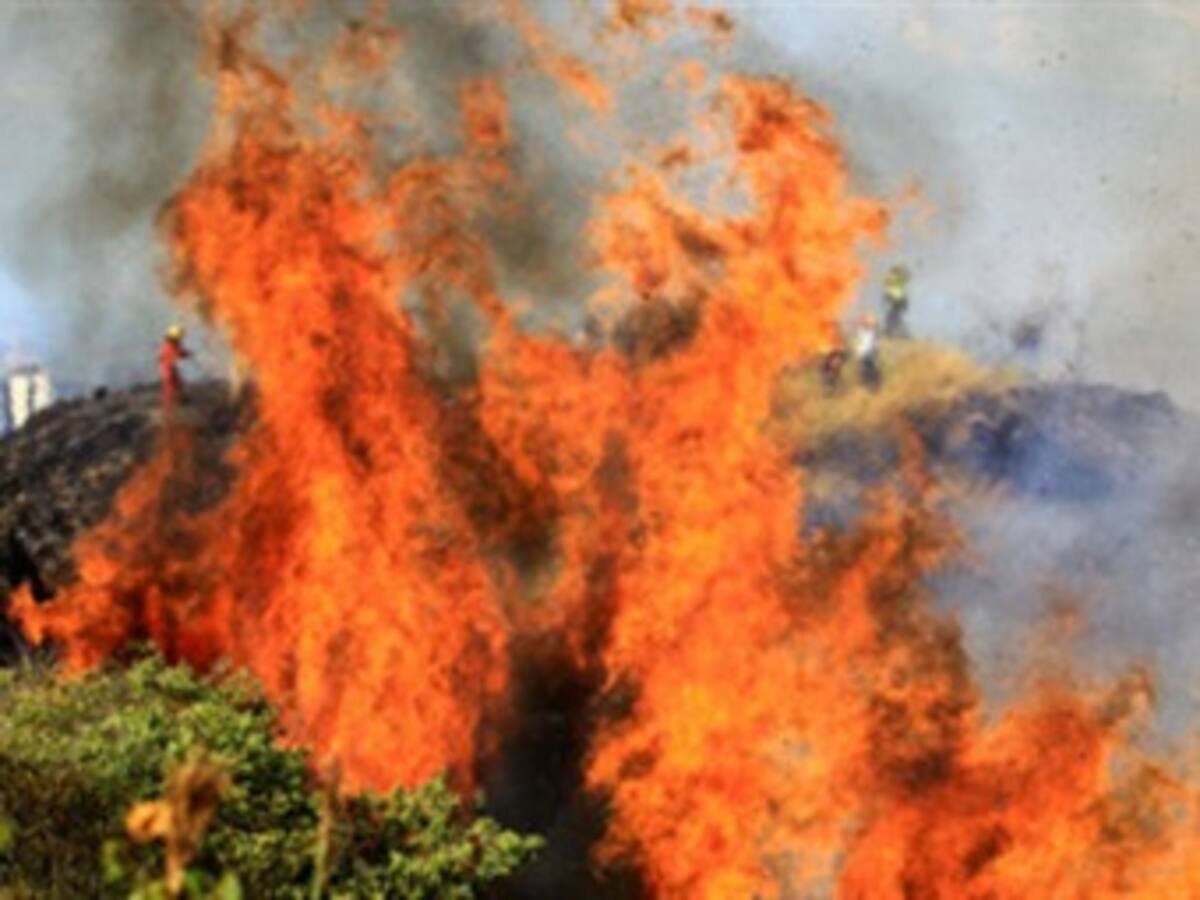 A 48 se eleva el número de incendios forestales que afectan a 200 hectáreas de vegetación
