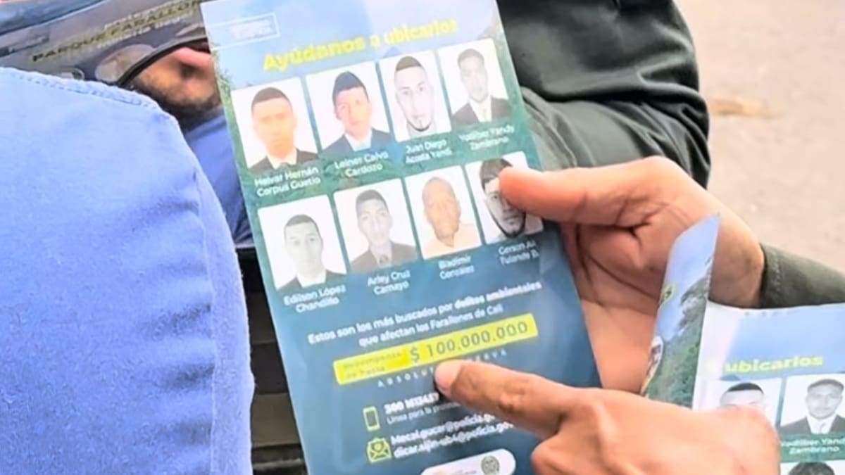 Ofrecen millonaria recompensa por responsables de minería ilegal en Farallones de Cali