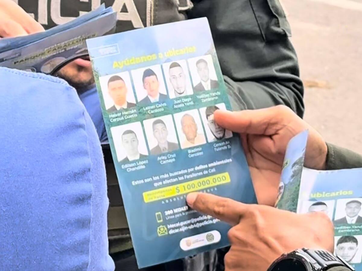 Ofrecen millonaria recompensa por responsables de minería ilegal en Farallones de Cali