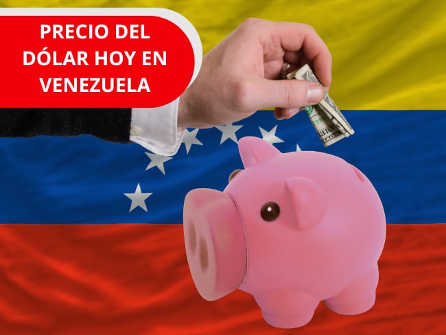 Imagen de referencia: dólar Venezuela, foto Gettyimages y Canva.
