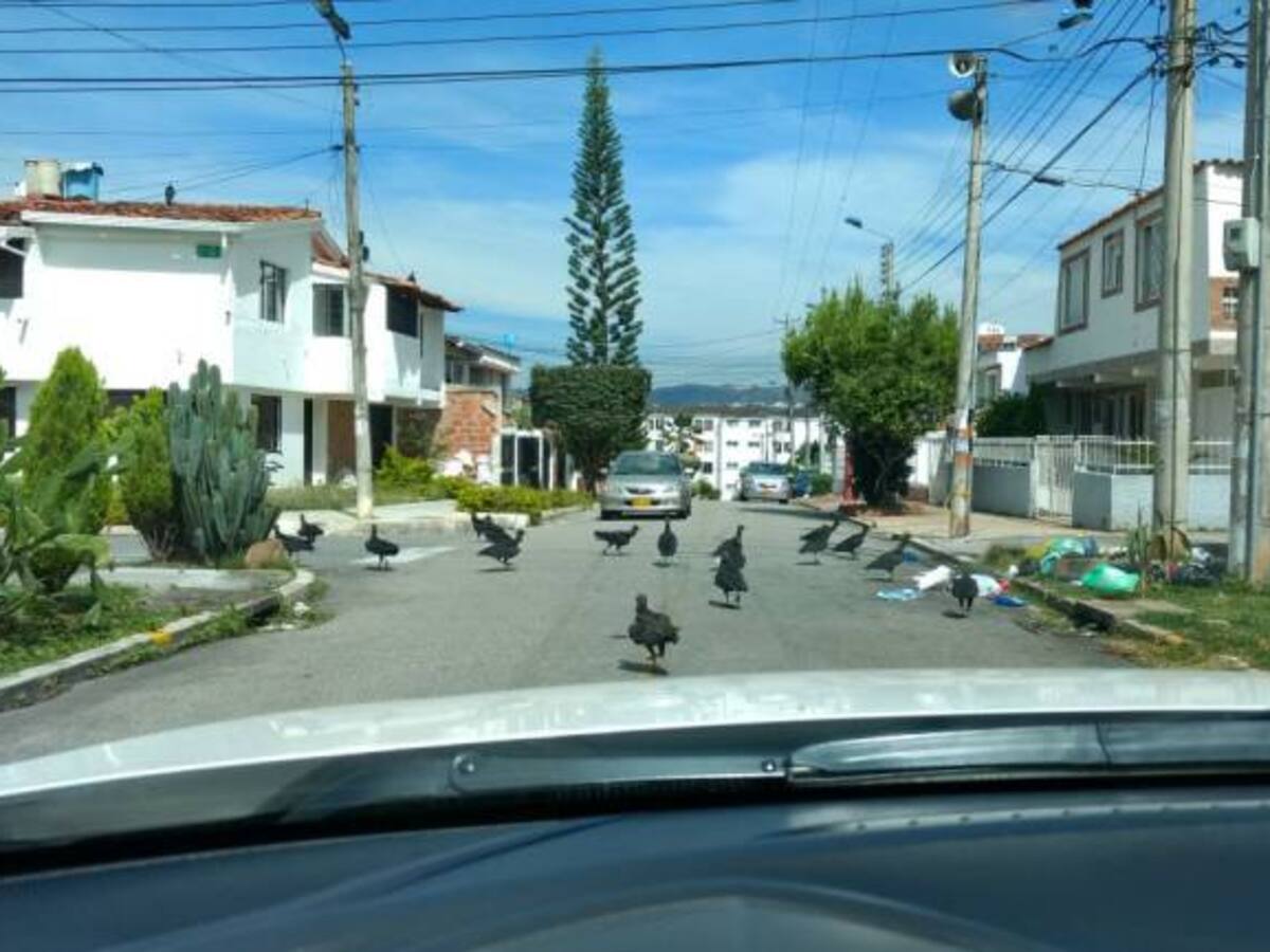 La "calle de los chulos" está en el Diamante Dos