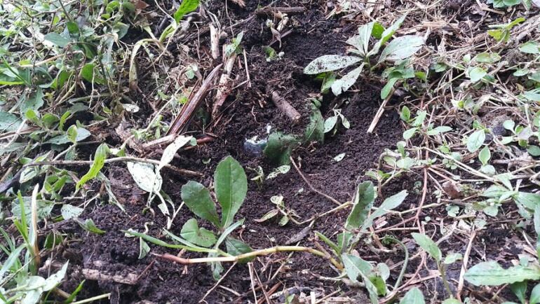 Minas antipersonales 