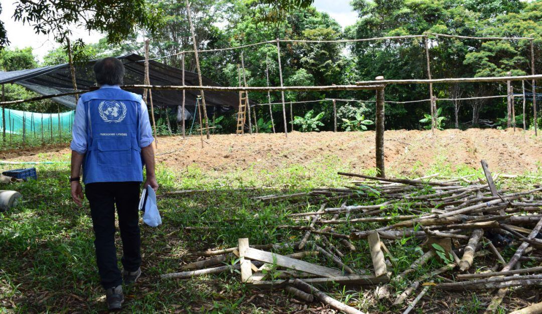 Imagen de referencia