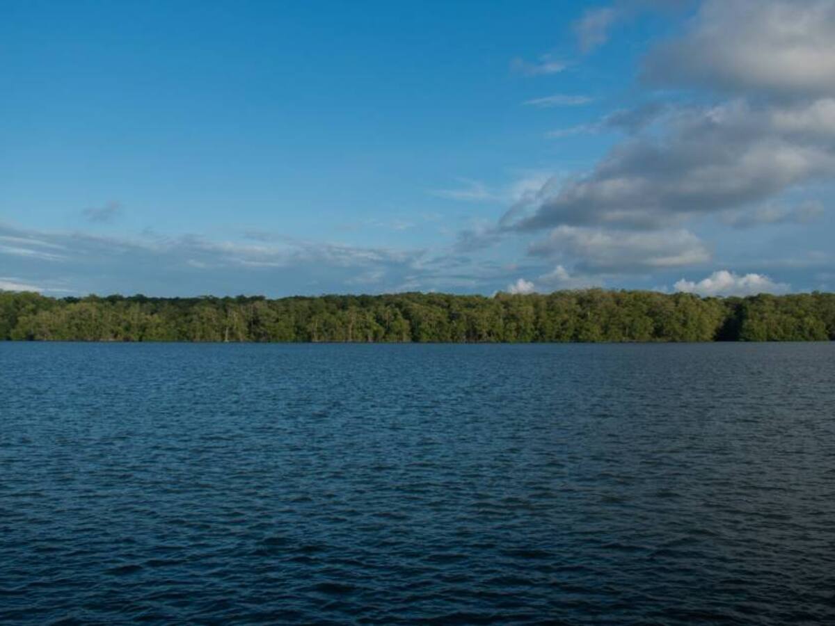 Colombia, Costa Rica y Ecuador protegen los ecosistemas marinos: EE.UU.
