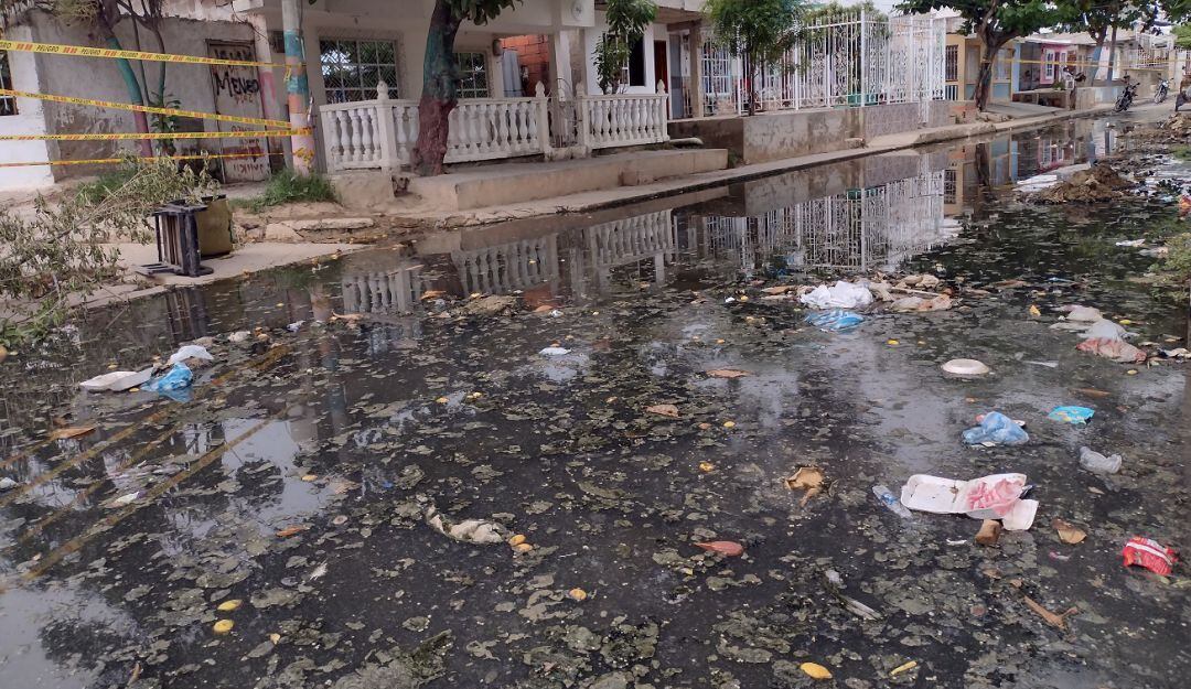 En agosto del 2021 ya se había alcanzado el número de casos del año anterior, que registró un total de 1.153.