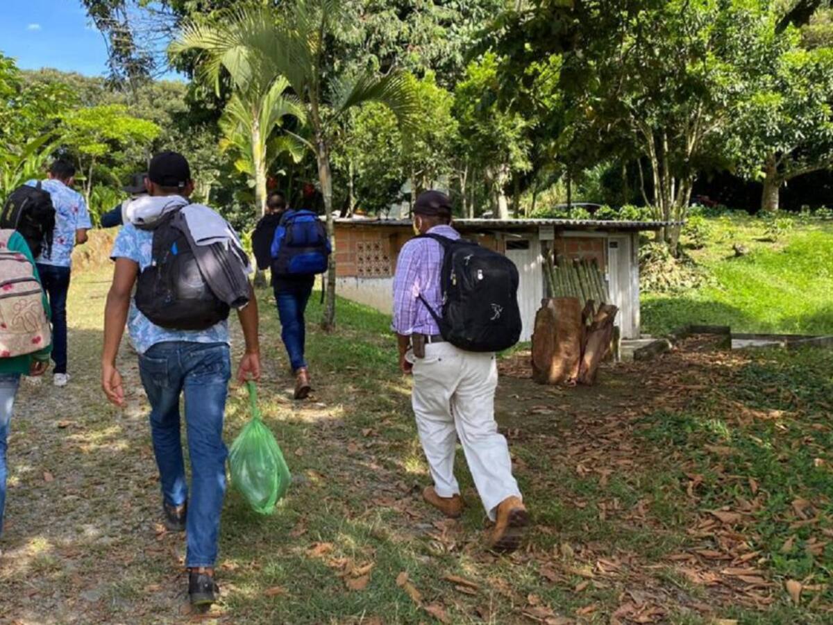 Comenzaron a llegar los recolectores de café al suroeste de Antioquia