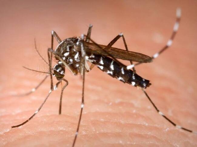 Autoridades en alerta por aumento en casos de Dengue