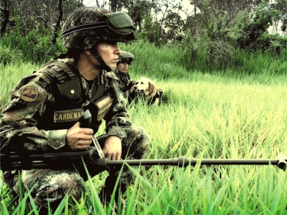 Arrancó el desminado humanitario en nueve municipios de Boyacá