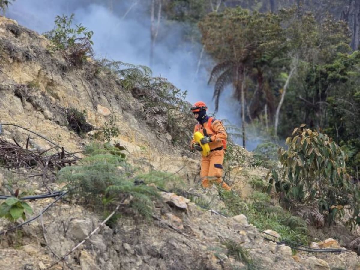 Tras cuatro días de emergencia, fue apagado el incendio forestal en Charta, Santander